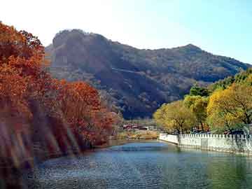 澳门二四六天天彩图库，鸵鸟蛋价格